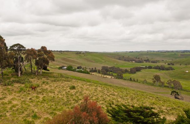 1451 Bolinda Darraweit Road, Darraweit Guim