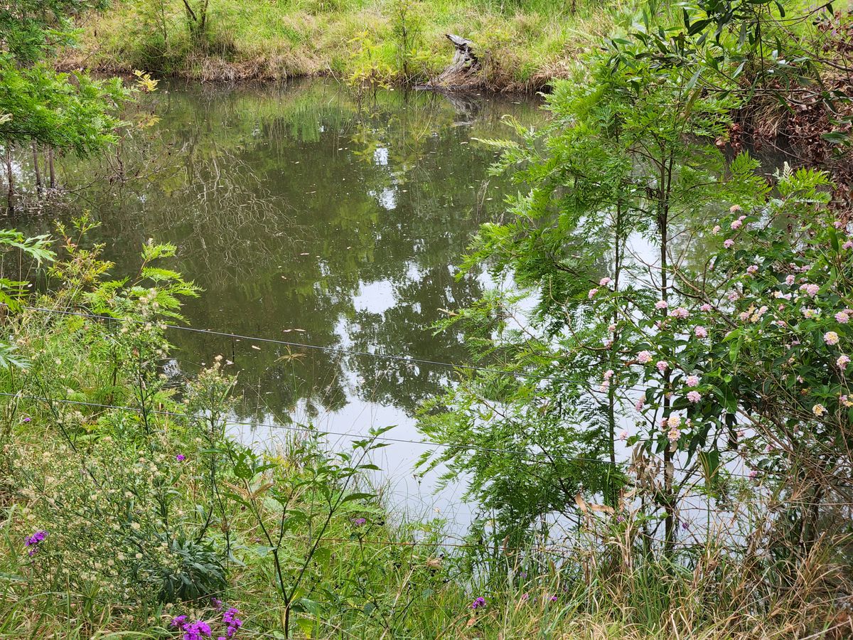 94 HARDGRAVE ROAD, Benarkin North Main Street Realty