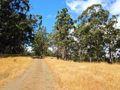 Office HUON / Highway, Dover