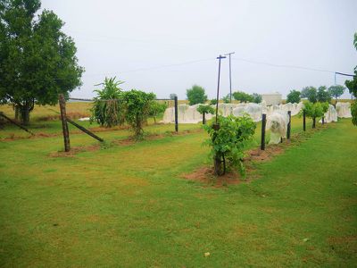 154 Ironpot Road, Kumbia