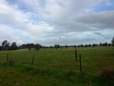 Lot B Race Course Road, Deniliquin