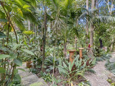 11 Annie Street, Landsborough