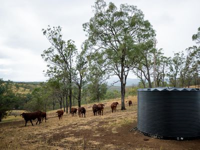 43 Berlin Road, Mount Berryman