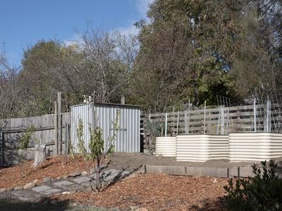 20 Wilhelmina Avenue, West Launceston