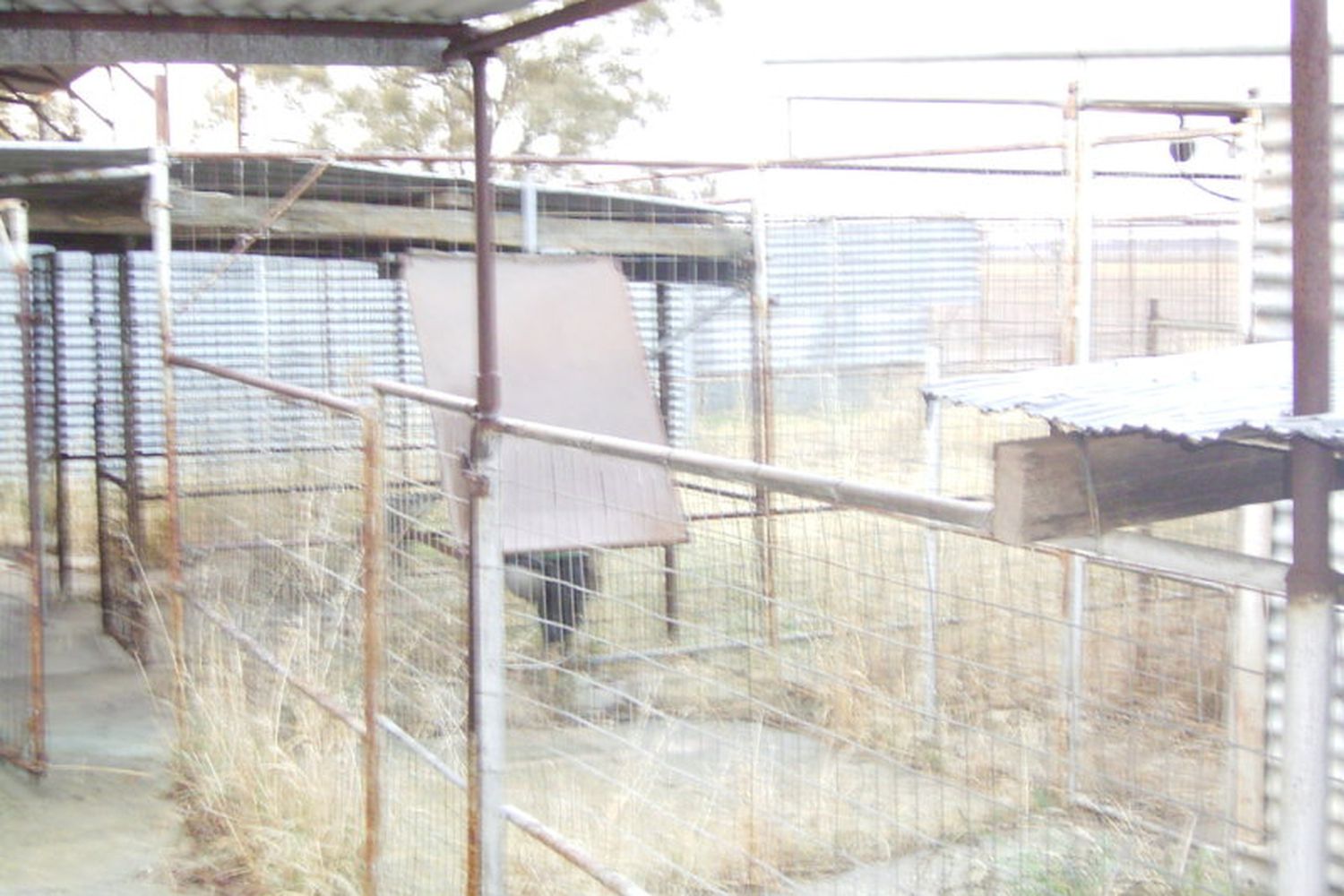 Warracknabeal