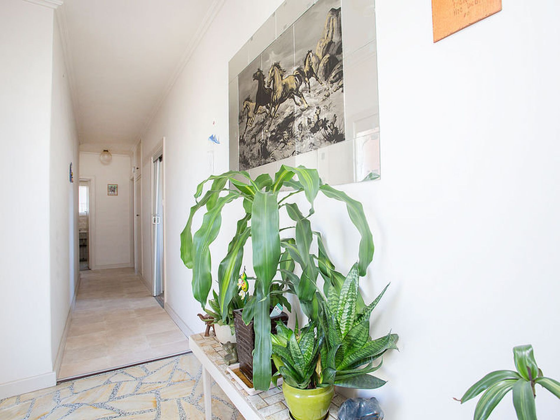 3 Fashoda Avenue, Camden Park