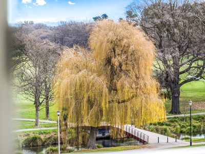 8 / 15 Peterborough Street, City Centre