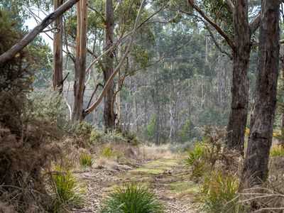 6 Brewis Place, Lake Leake