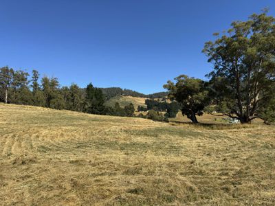 Lot 2, Direens Road, Lymington