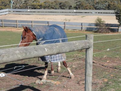 376 Spring Plains Road, Heathcote