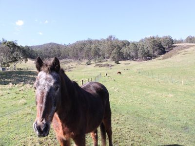 282 Judds Creek Road, Judbury