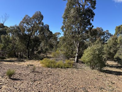 454 Cainbil Road, Coolah