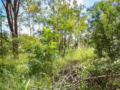 3 Glyn Court, Redbank Plains