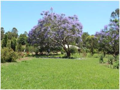 Maleny