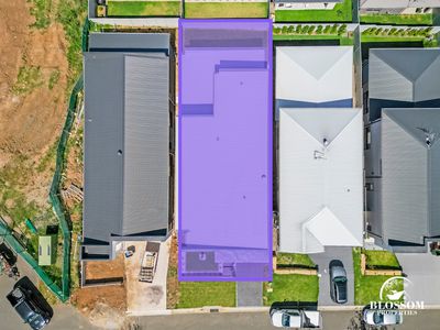 16 Sculptor Street, Box Hill