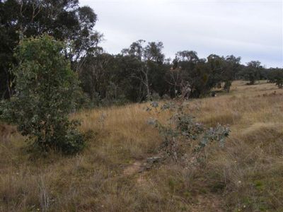 48 Cobb Way, Woodstock