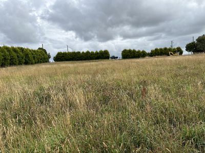 77 Brooks Road, Forest