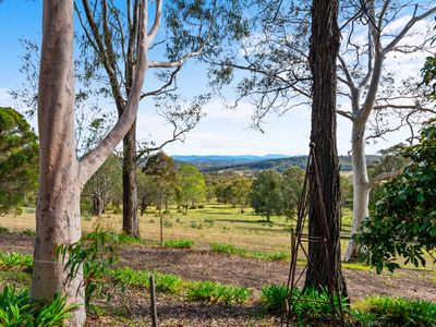 287 Briagolong Stockdale Road, Briagolong