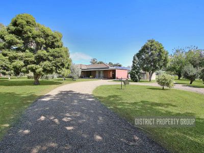 17 Ely Street, Oxley