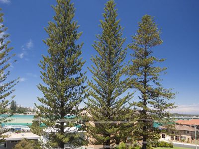 3 / 14 Wharf Street, Tuncurry