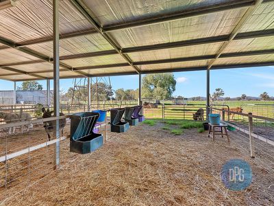 61 Forest Lane, Markwood