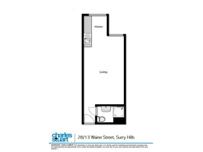28 / 13 Waine Street, Surry Hills
