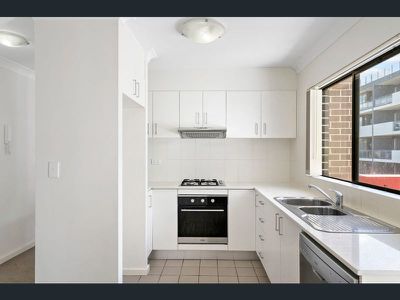 Mount Druitt