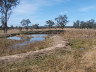 Lot 194 & 195 Nant Park Rd, Deepwater