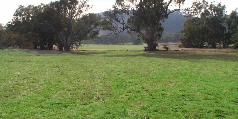 Long Gully Road, Violet Town