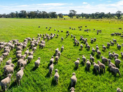 312 Merri Meric Road, Henty