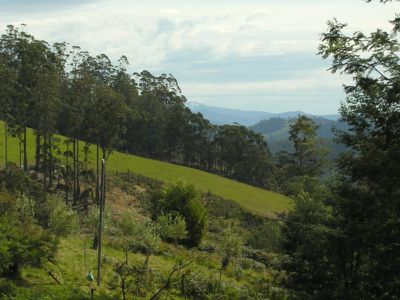 140 Coalmine Road, Gardners Bay