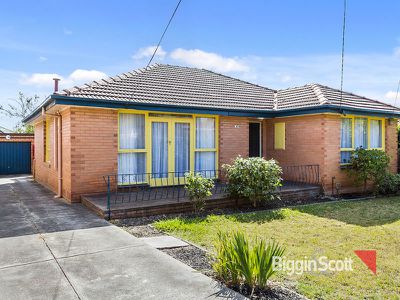 43 Hibiscus Road, Blackburn North