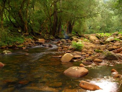 Lot 25 Lot 25 Bunkers Hill Road, Kangaroo Valley