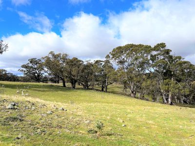 Lot 34, 6875 Taralga Road, Taralga