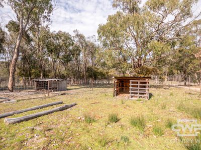 2126  Emmaville Road, Glen Innes