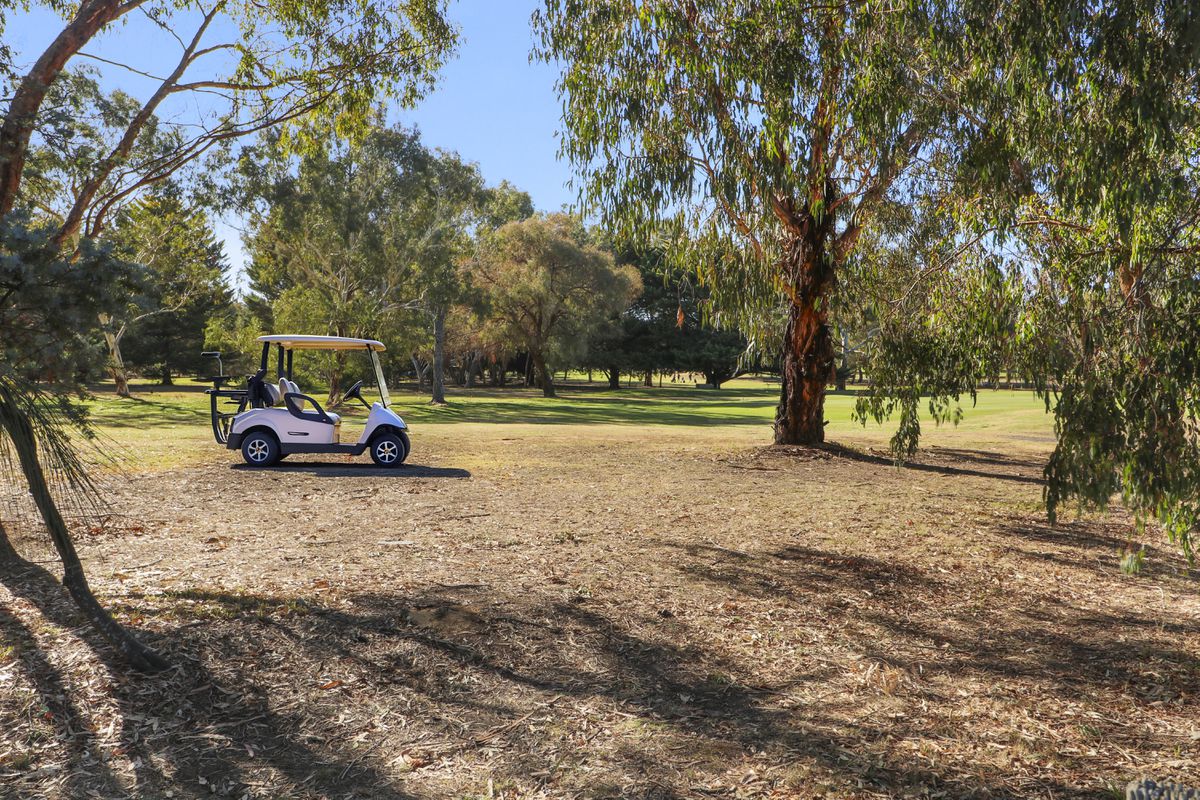109 Malcolm Street, Mansfield