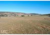 136 McLachlan Road, Manildra