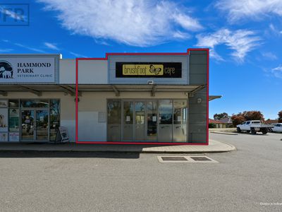 8 / 2 Brushfoot Boulevard, Success