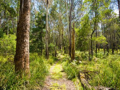 Kingfisher Road , Wyndham