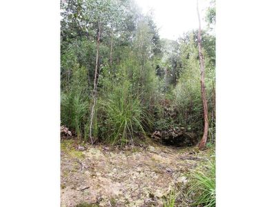 Arve Road, Geeveston