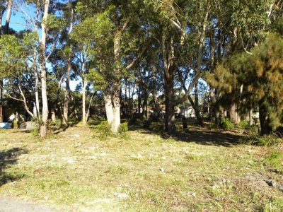 Lot 81, 154 Jacobs Drive, Sussex Inlet