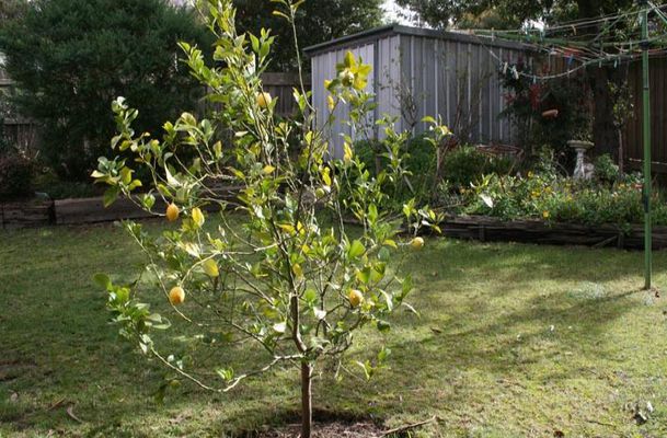 42 King Street, Wallan