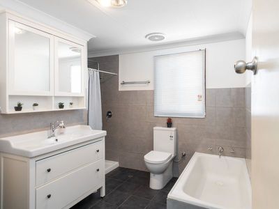 24 York Street, Boulder