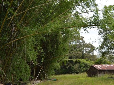 Lot 2 Maleny-Kenilworth Road, Maleny