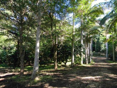 45 Mountain View Road, Maleny