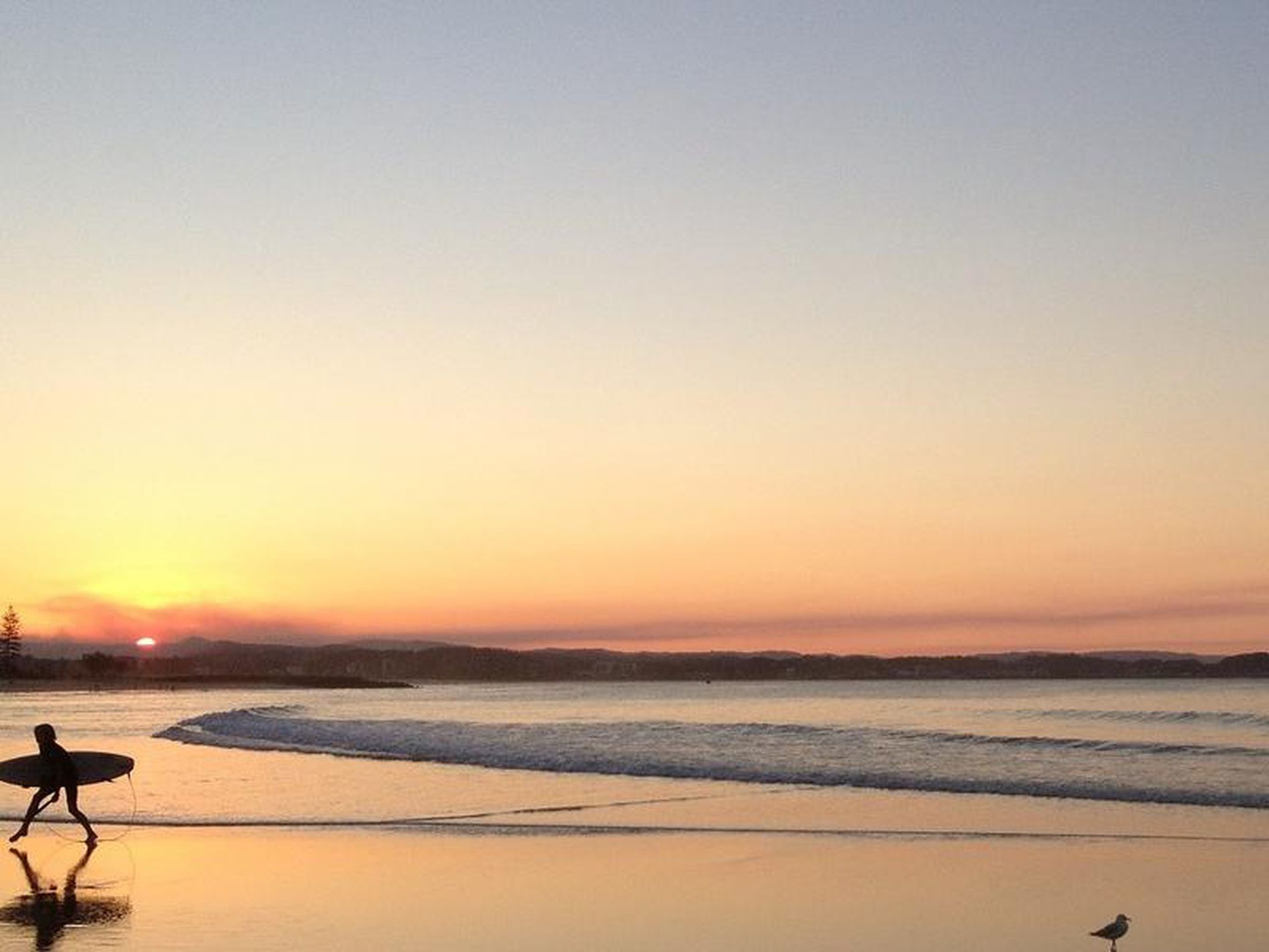 5 / 4 Allara Avenue, Palm Beach