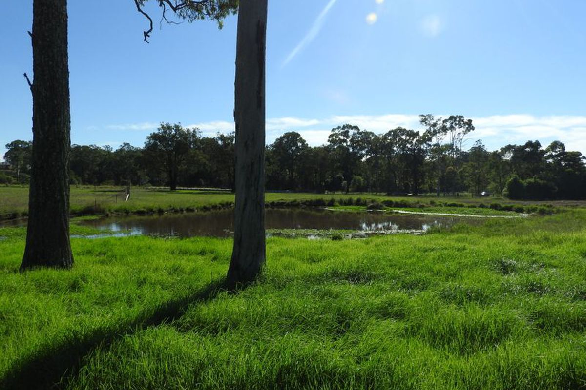 Tinonee