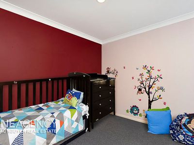 11 Napier Pl, Forest Lake