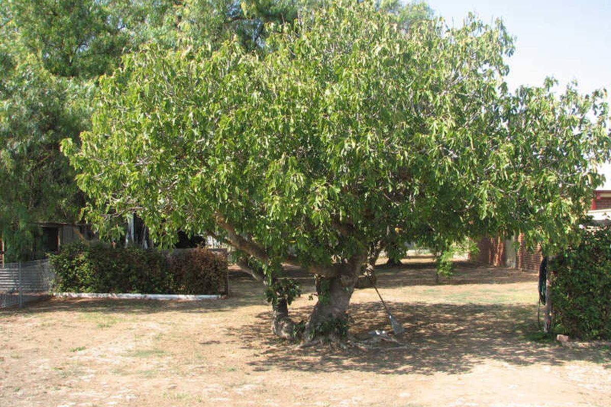 5 Haslem Street, Kyabram