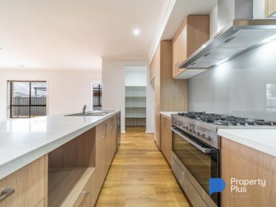 21 Eucalyptus Street, Jackass Flat